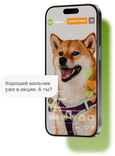 Акция Каскад