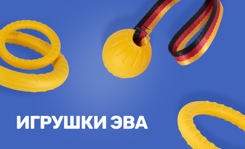 Новинки ассортимента