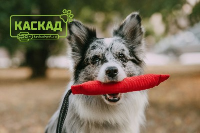 Игрушки для собак из пожарного шланга оптом