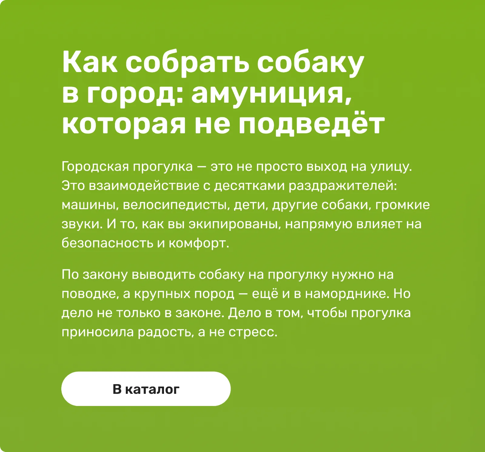 Для города с собакой