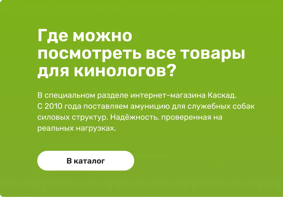 Комплект для первой тренировки с собакой
