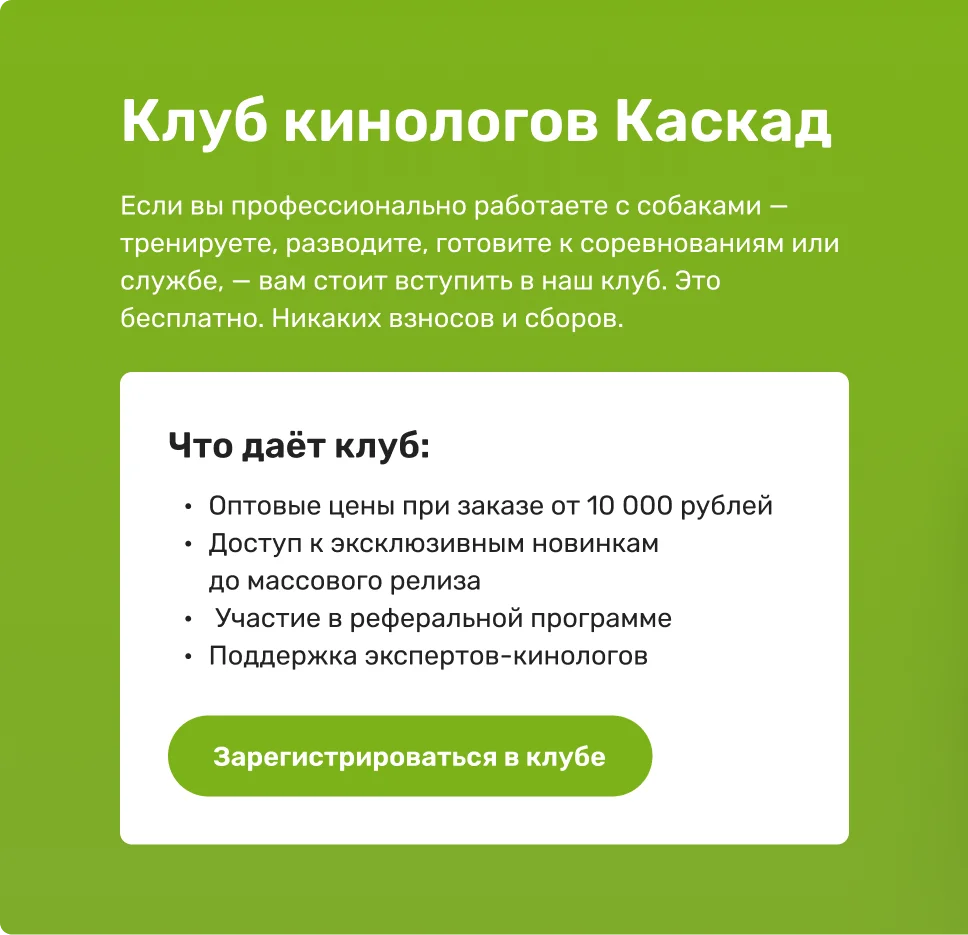 Для города с собакой
