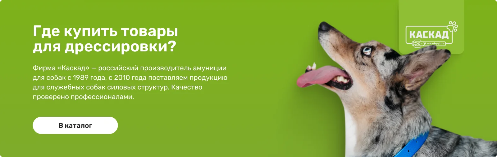 Комплект для дрессировки