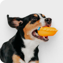 Игрушки